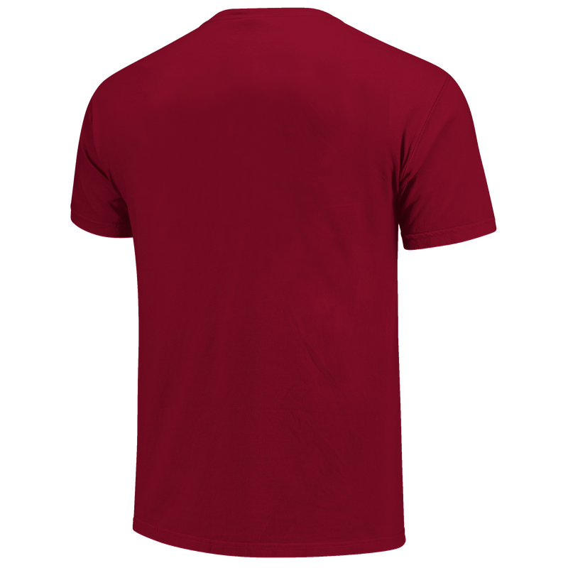 Alabama Crimson Tide - Classic Arch & Script T-Shirt