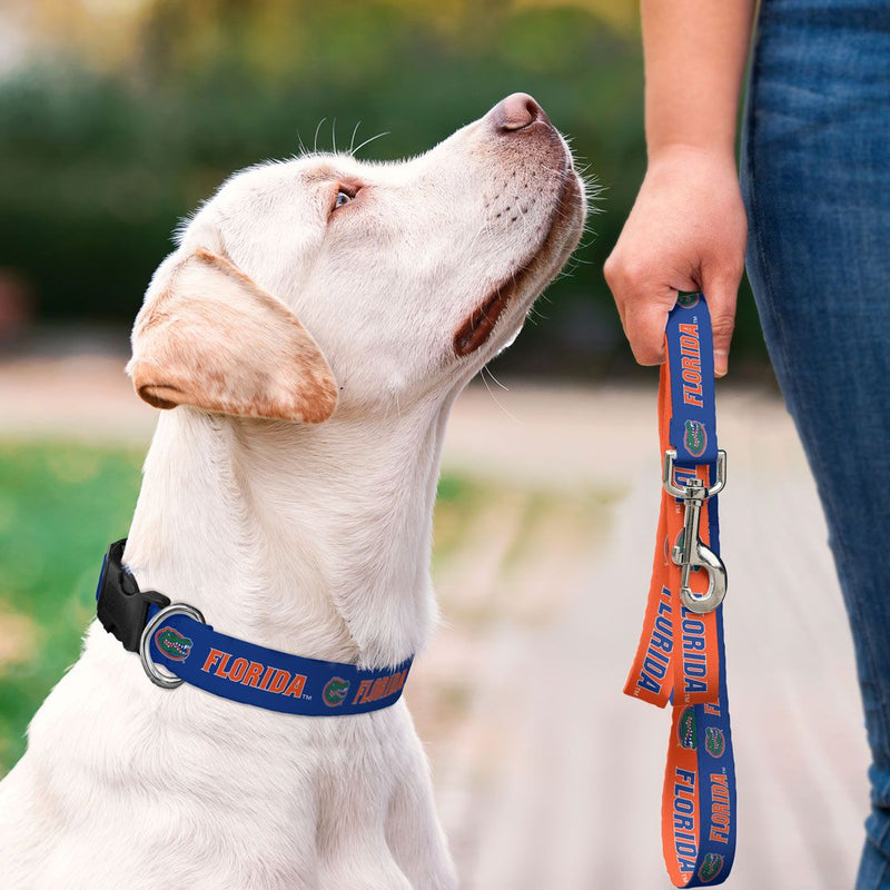 Florida Gators Pet Collar